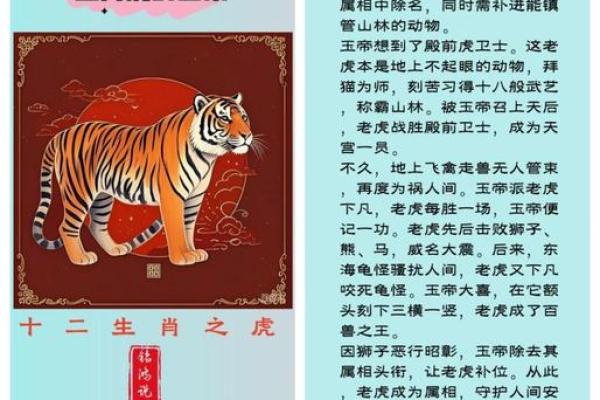 属猪虎命：解析猪与虎的奇妙相遇与命运时辰的奥秘