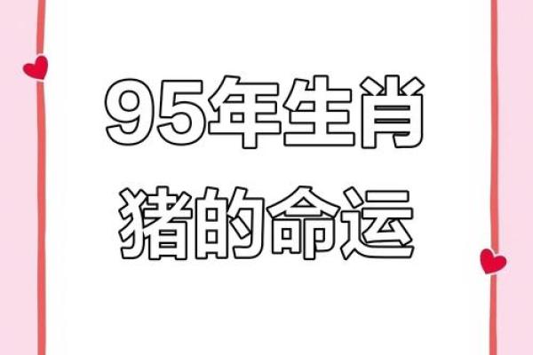 属猪虎命：解析猪与虎的奇妙相遇与命运时辰的奥秘