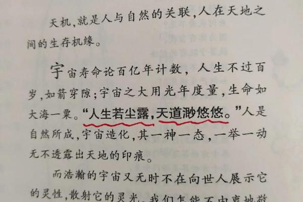 探秘己亥平地木命：与自然和谐共生的命理之旅