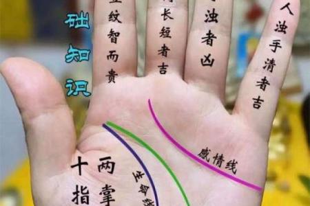 浅手纹的命运解析：揭秘独特命格背后的故事