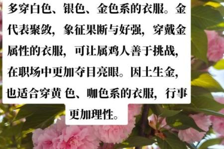金命人招财颜色的选择与运用技巧