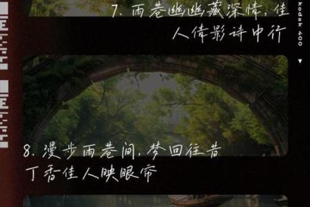 爱如潮水，情似细雨：四字成语背后的深情故事