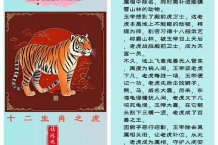 属猪虎命：解析猪与虎的奇妙相遇与命运时辰的奥秘