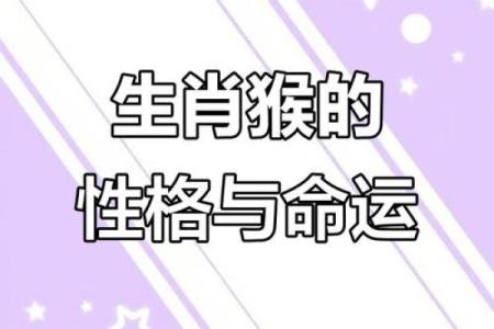 2016年属猴人的命运与性格解析，解锁你的人生密码！