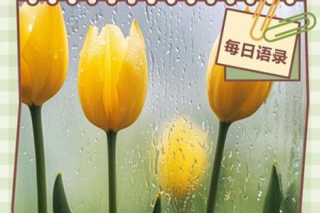女人孤星命：独行但不孤单的命运之旅