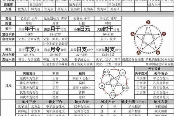 1991年出生的人命理解析：性格与运势的双重探秘