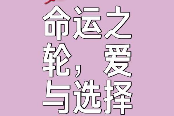 命运之轮：何以左右人生轨迹