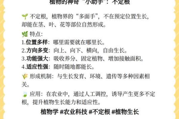 自然驾驭生命的奥秘：解读“自然”的真正含义