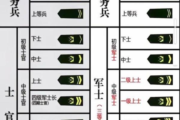 命格分析：适合当兵的八种命格特征与成功之道