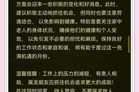 2026年属龙人的命运解析与发展方向探讨