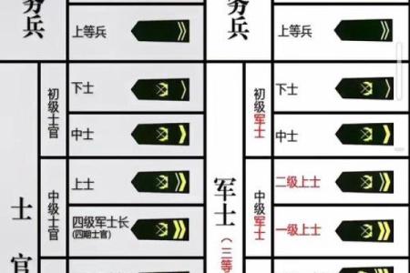 命格分析：适合当兵的八种命格特征与成功之道