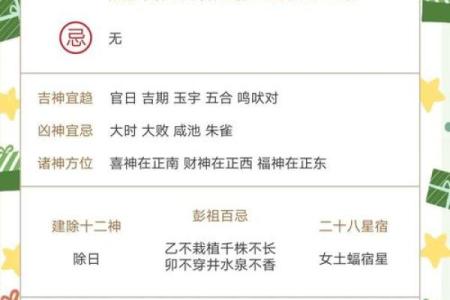 朱雀面相揭秘：解析女性命理中的朱雀面相特征与命运