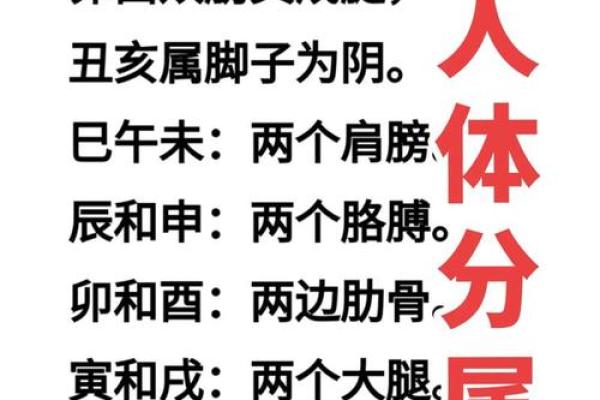 命理学揭秘：如何通过生辰八字了解你的命运与人生轨迹