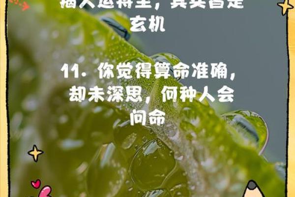 1996年12月3日出生的你，命运之轮如何转动？揭示你的性格与未来之路！