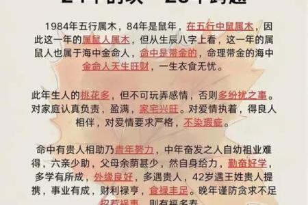 96年属鼠的人生运势与性格特征解析
