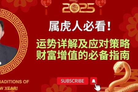 2022年属虎，2023年属兔，探索生肖与命运的奥秘