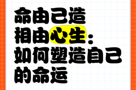 揭开“己命”的神秘面纱：探寻命理与自我的关系