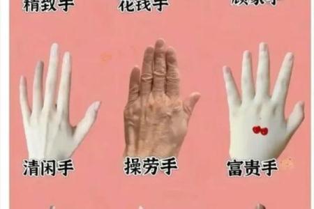 手上几颗螺，揭示你命运的秘密与人生的方向
