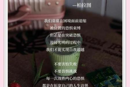 命里都是伤痛：如何在逆境中寻找希望与成长