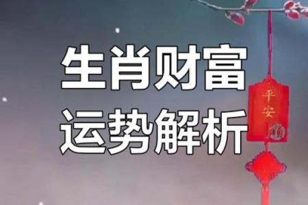 富贵命的属相揭秘：哪些生肖注定财运亨通？