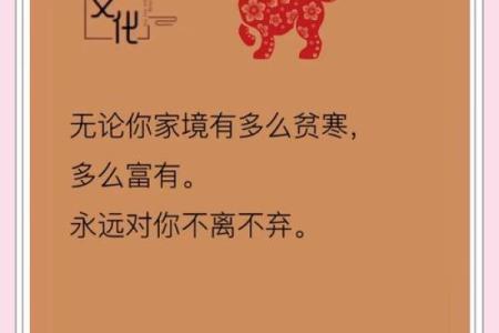 属狗之人的命运与特点：忠诚、坚持与积极生活的智慧