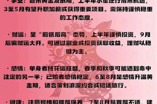 探寻1963年属兔人生旅程：命运与性格的奥秘