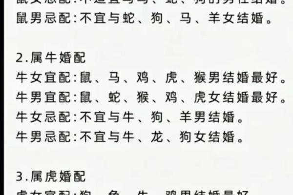 1996年属相鼠：探索命理与人生的奥秘