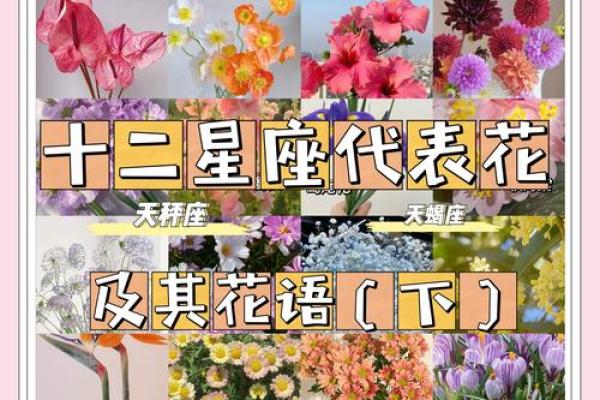 十二星座女性婚后命运解析：幸福、挑战与成长