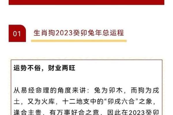 1979年属什么命？解读生肖与命理的奇妙关系