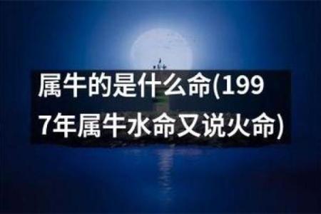 1994年出生的男性命运解析：他们的性格与生活轨迹