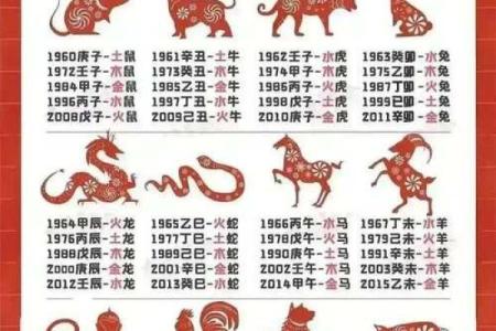 1995年出生命理解析：金木水火土五行的奇妙交融与人生启示