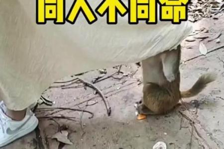 命同人不同，人生际遇各异的深刻启示