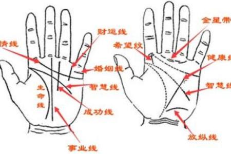 探秘手指命理：如何从手指看出你的命运与个性