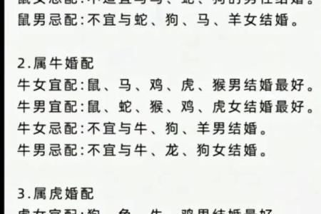 1996年属相鼠：探索命理与人生的奥秘