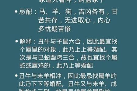 了解夫妻命与生肖的奥秘，助你感悟人生真谛！