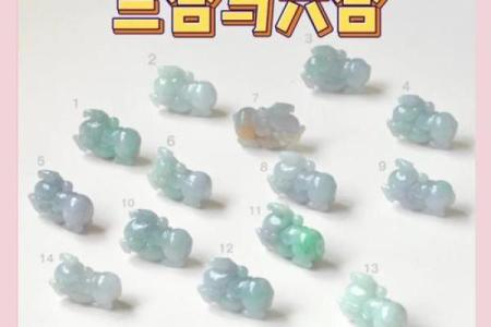 虎年男孩的命运解析：如何为孩子选择最适合的未来？