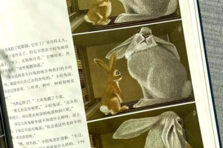 探秘兔子的命运：探索我们午后生活中的兔子象征与启示