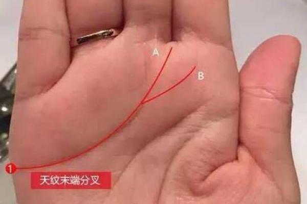 手纹麻花辫的命运解读：揭示你的命运之道！