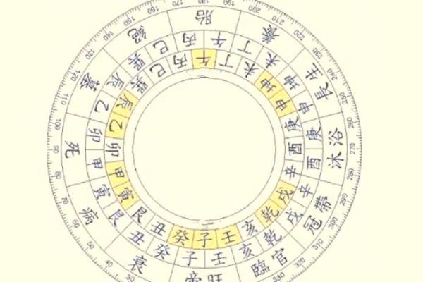 天干地支揭秘：你的五行命理与生肖缘分