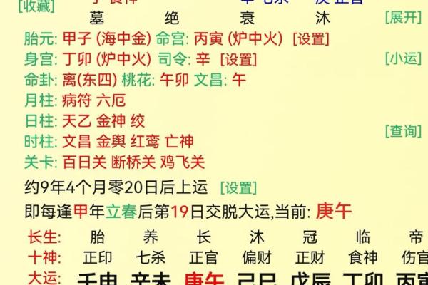 天干地支揭秘：你的五行命理与生肖缘分