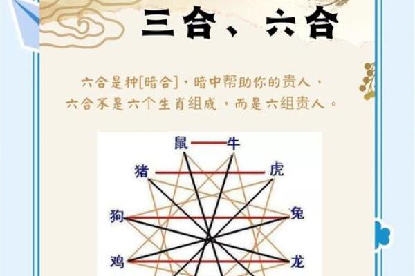 命里有三点水，生肖的深层解析与命运之旅