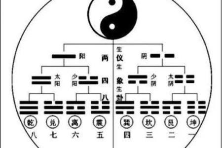 火龙之命与颜色的密切关系：揭示忌色的秘密