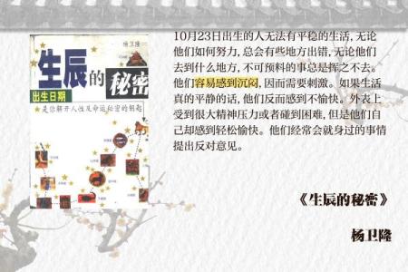 农历2002年：解读人生命运与性格特征