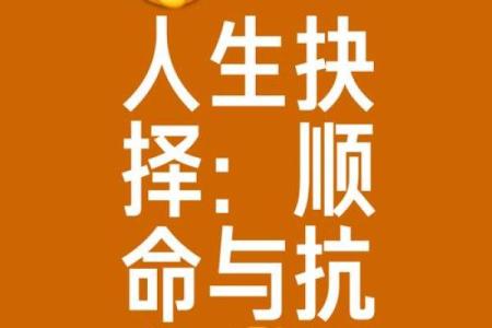 命运无常，生活的选择与坚持