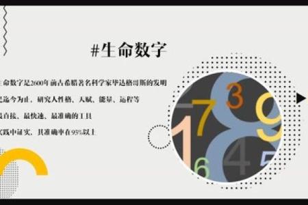 探寻上上签杜鹃命的神秘之旅：解密人生的方向与机遇