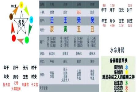 79年出生的人命理解析：五行归属与性格特征