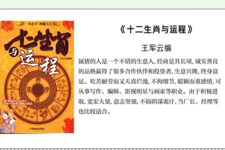 属猪的51岁：人生的转折与意义探讨