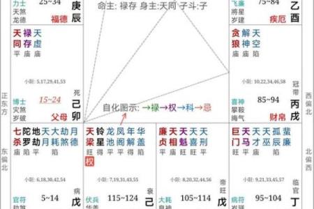 神武方寸的命格选择：如何打造独特的战斗风格与策略？