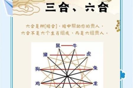 命里有三点水，生肖的深层解析与命运之旅