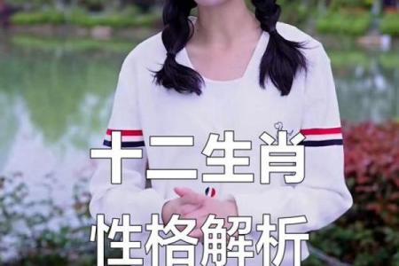 揭开屠夫属相的神秘面纱：这些命星与性格的密码